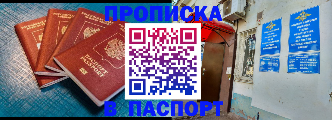 прописка иностранных граждан в Алейске